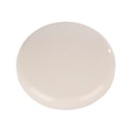 Zadi Dakventilator permanent wit