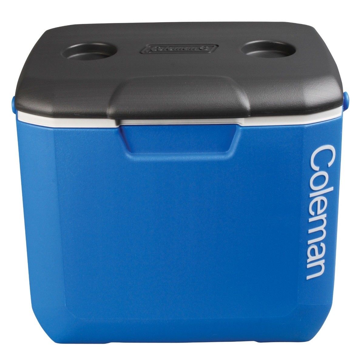 passieve koelbox ijsbox 71,57 l, geïsoleerde koelbox camping thermobox