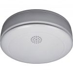Smartwares Rookmelder RM218 voor recreatie