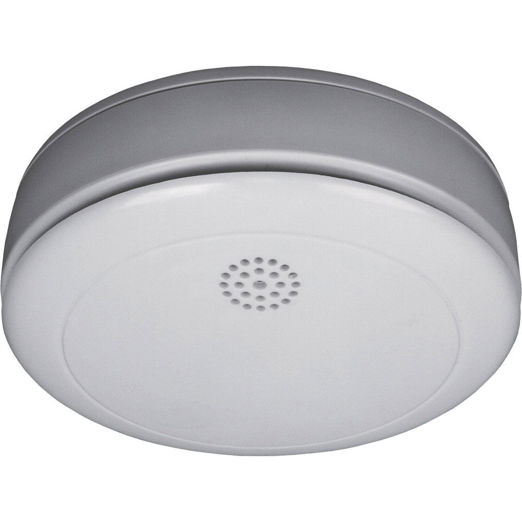 Smartwares Rookmelder RM218 voor recreatie