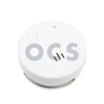 Rookmelder klein model