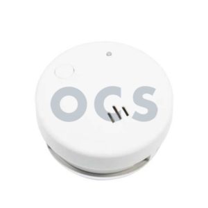 Rookmelder klein model