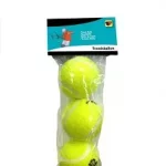Tennisballen 3 stuks