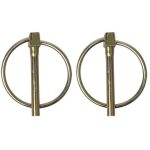 ProPlus borgpen met ring 4,5 mm set 2 stuks