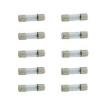 Velleman Glaszekeringen 10 ampère