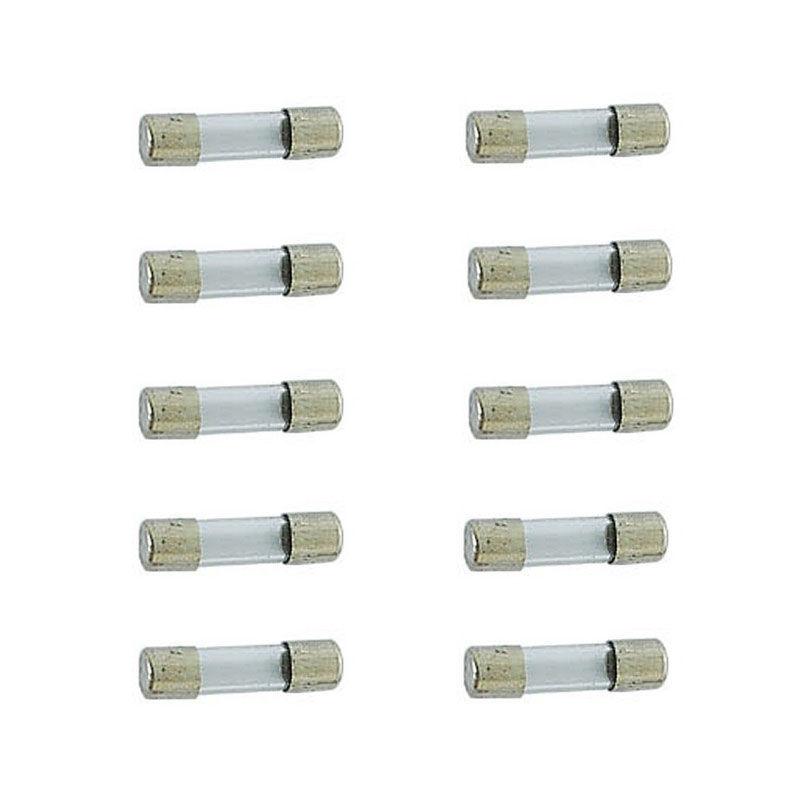 Velleman Glaszekeringen 10 ampère