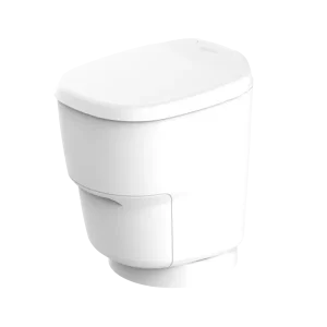 Clesana Toilet
